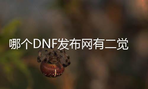 哪个DNF发布网有二觉（dnf二觉时间表）