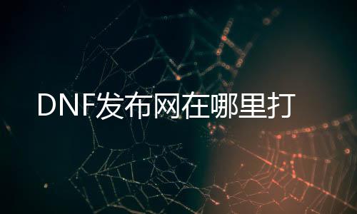 DNF发布网在哪里打