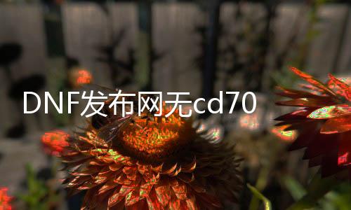 DNF发布网无cd70版本