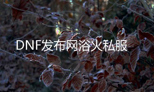 DNF发布网浴火私服