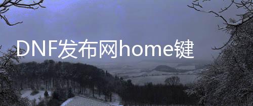 DNF发布网home键不行（DNF发布网按键没反应怎么办）